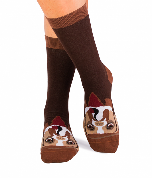 Arty socks with Boxer