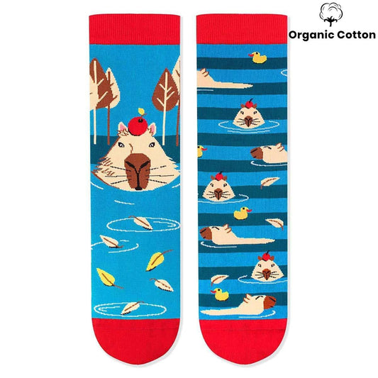 George the capybara - Turquoise Novelty Socks Organic Cotton - SocksFusion