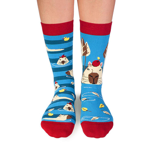 Arty socks with George the capybara - Turquoise