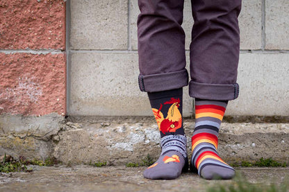 Arty socks with Rooster - Grey