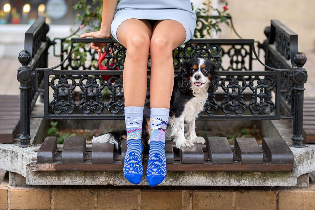 Arty socks with Tulips and Mills - Blue