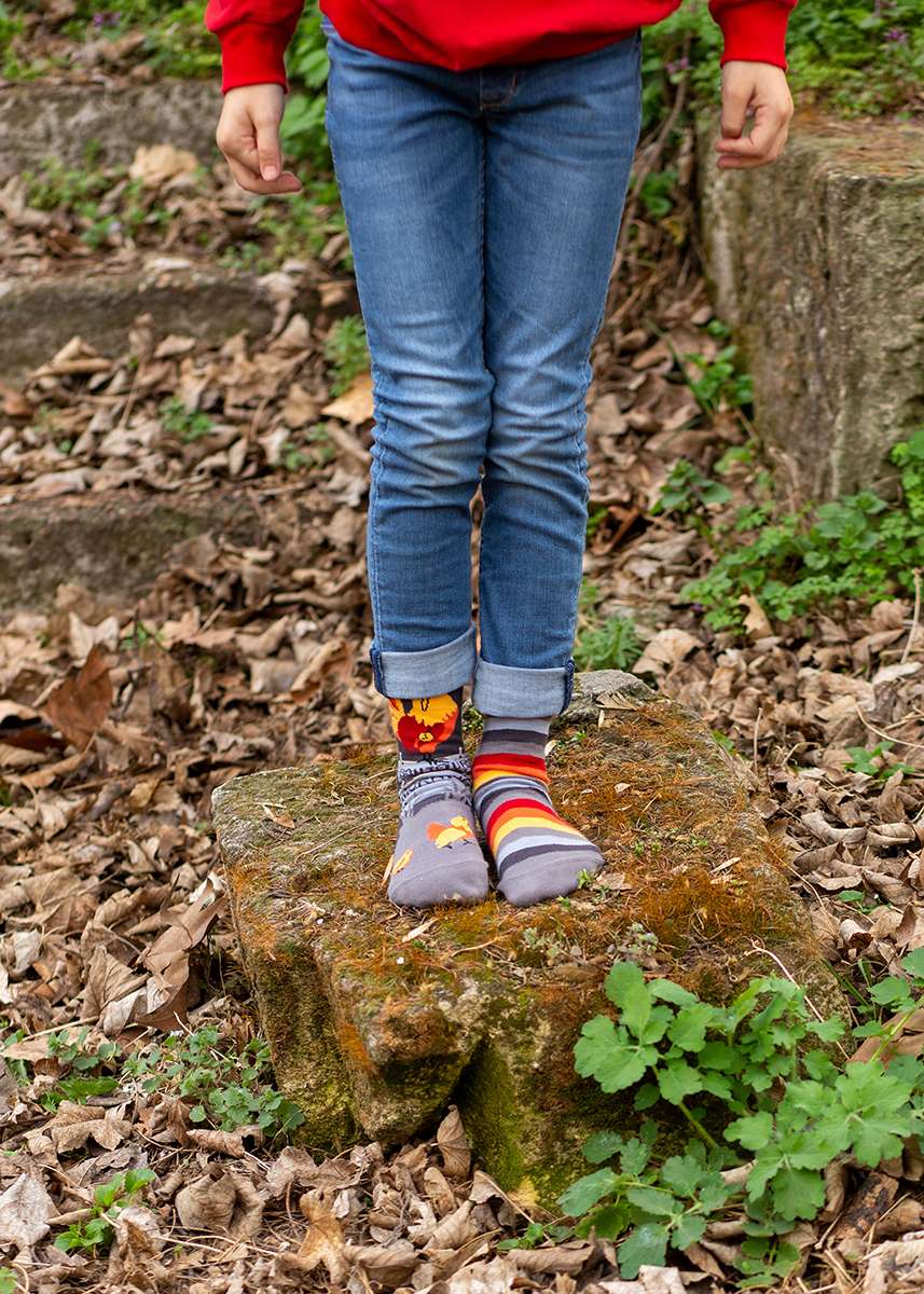 Arty socks with Rooster - Grey