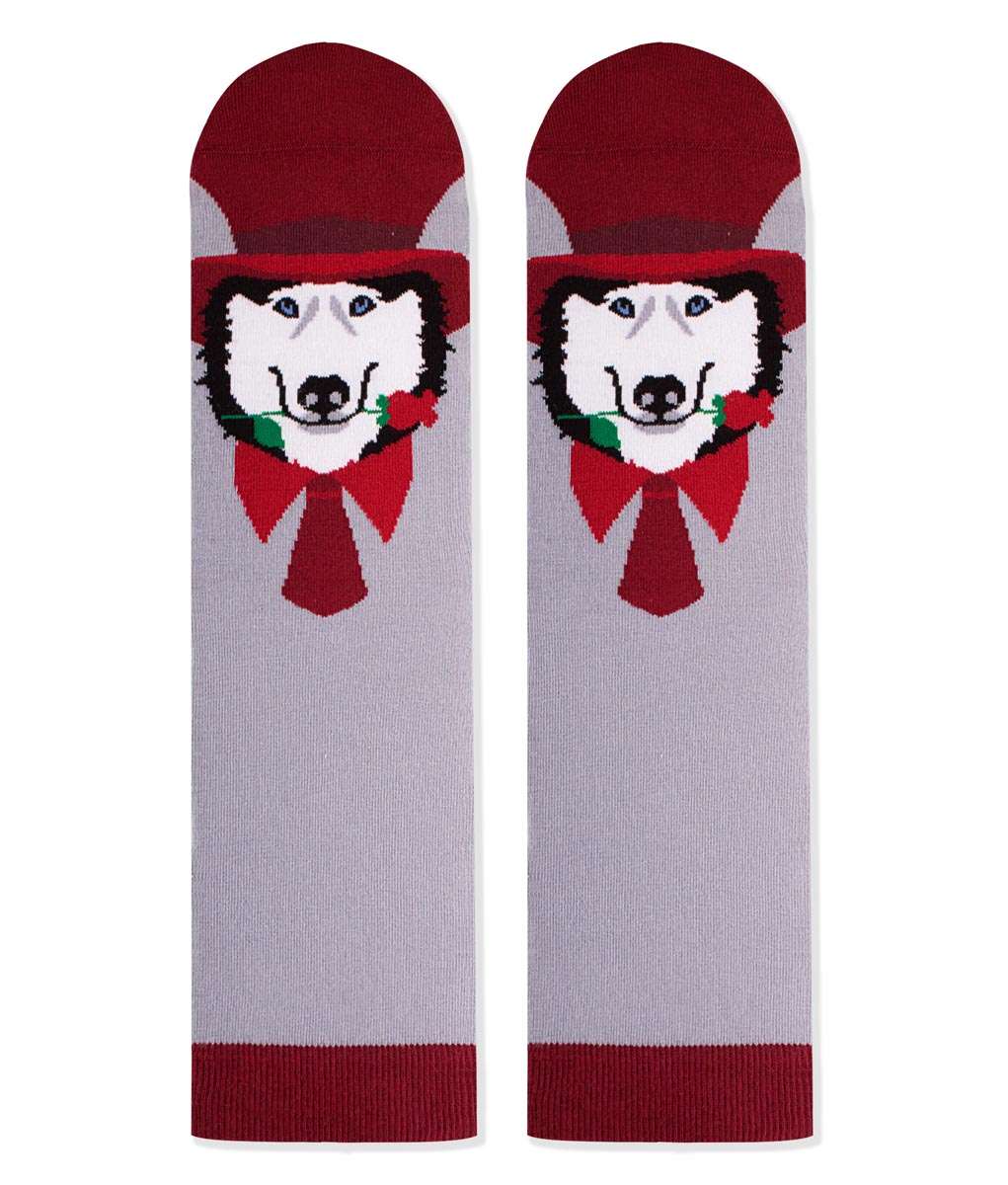 Arty socks with Husky