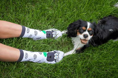Sheep Novelty Socks Organic Cotton - SocksFusion