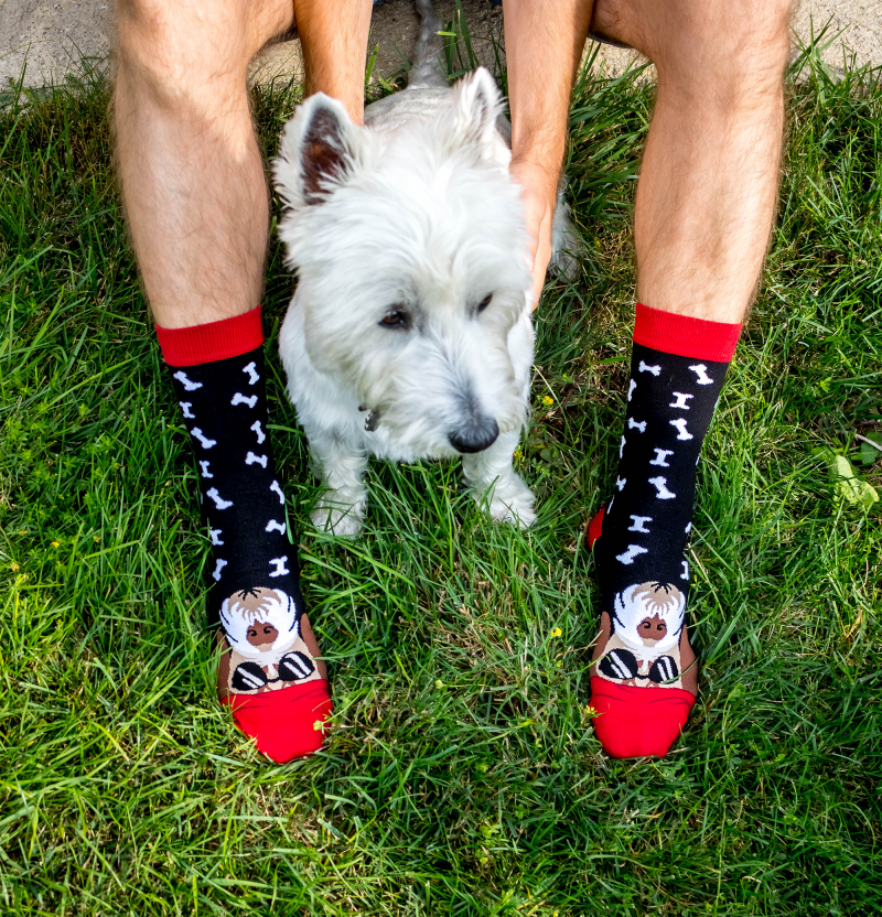 Terrier Dog Novelty Socks Organic Cotton - SocksFusion