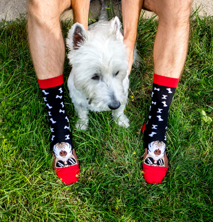 Terrier Dog Novelty Socks Organic Cotton - SocksFusion