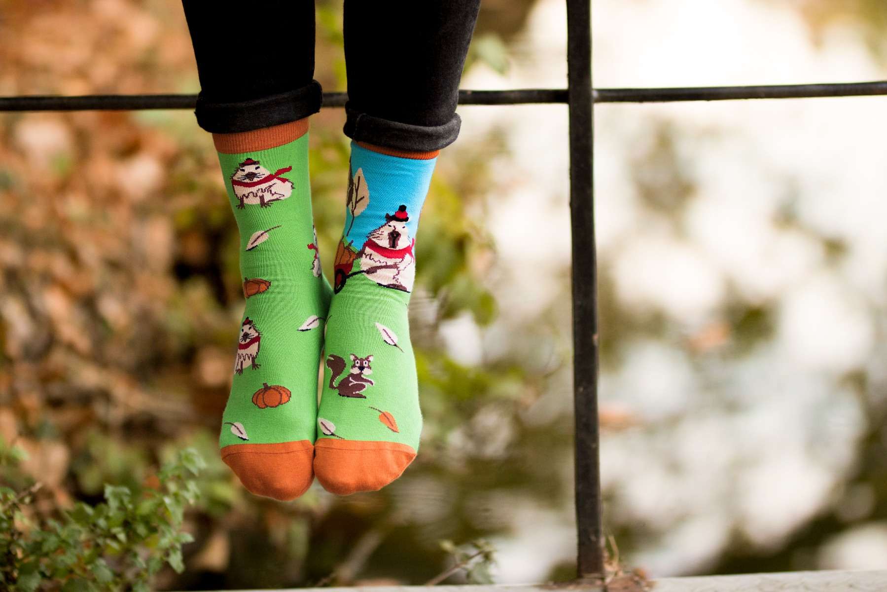 George the capybara - Green Novelty Socks Organic Cotton - SocksFusion