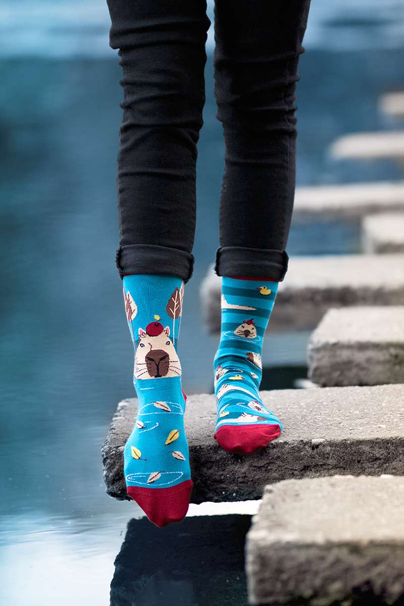 George the capybara - Turquoise Novelty Socks Organic Cotton - SocksFusion