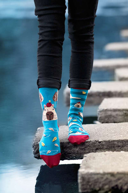 George the capybara - Turquoise Novelty Socks Organic Cotton - SocksFusion