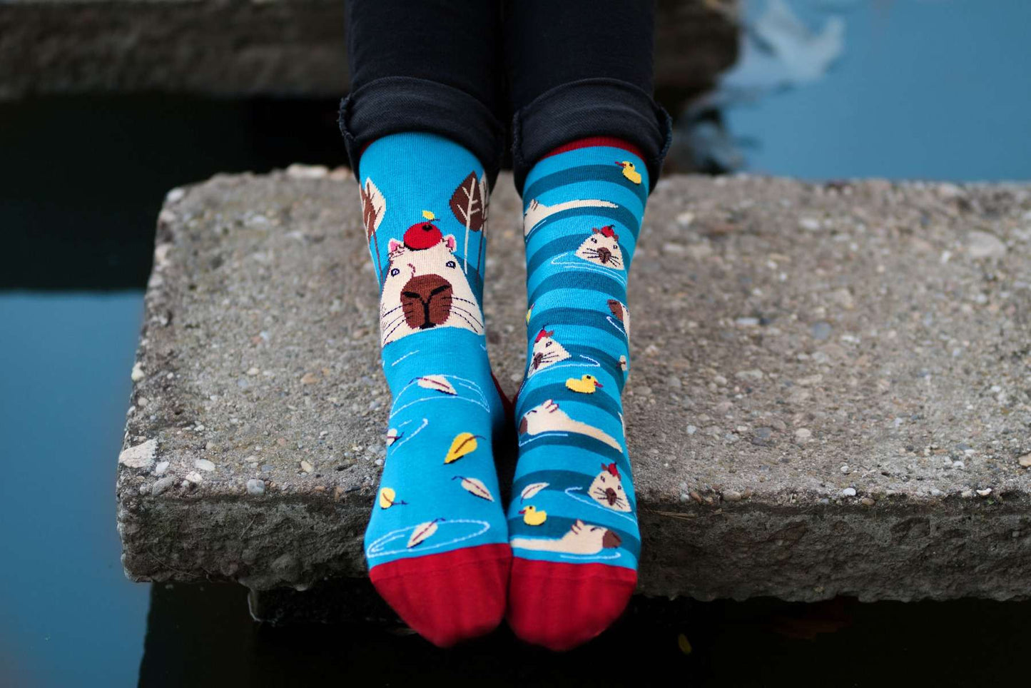 George the capybara - Turquoise Novelty Socks Organic Cotton - SocksFusion