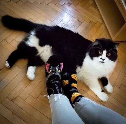Black Cat Novelty Socks Organic Cotton - SocksFusion