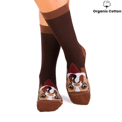 Boxer Dog Novelty Socks Organic Cotton - SocksFusion