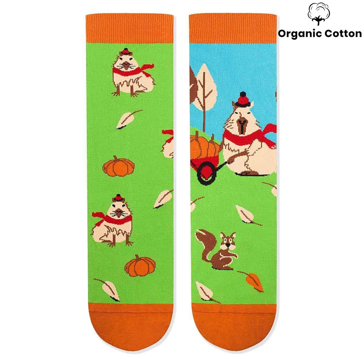 George the capybara - Green Novelty Socks Organic Cotton - SocksFusion