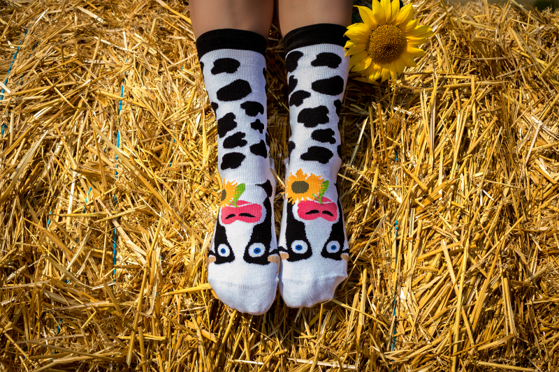 fun cow socks unisex breathable cotton
quirky animal socks cow design organic cotton
novelty cow print socks comfortable everyday wear
patterned cow socks soft cotton unisex