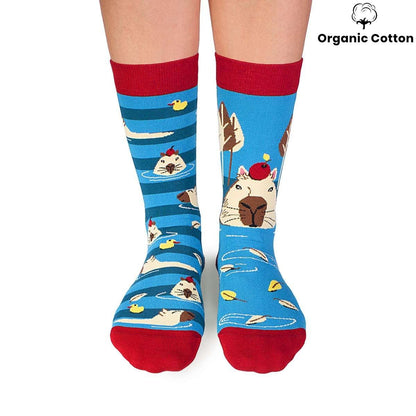 George the capybara - Turquoise Novelty Socks Organic Cotton - SocksFusion