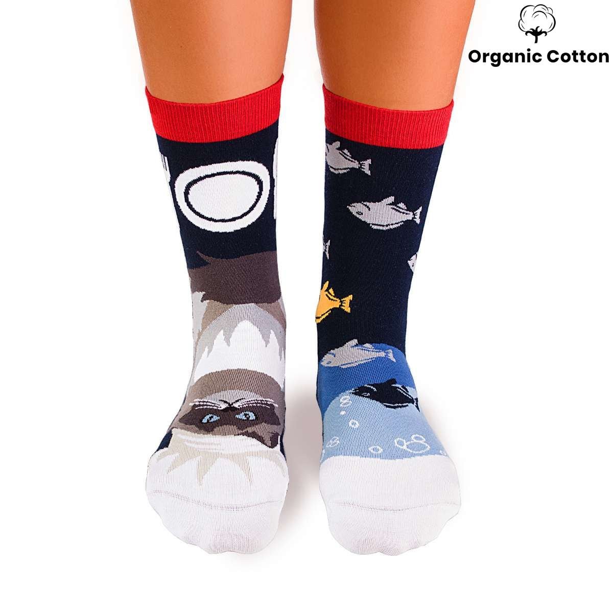 Himalayan Cat Novelty Socks Organic Cotton - SocksFusion