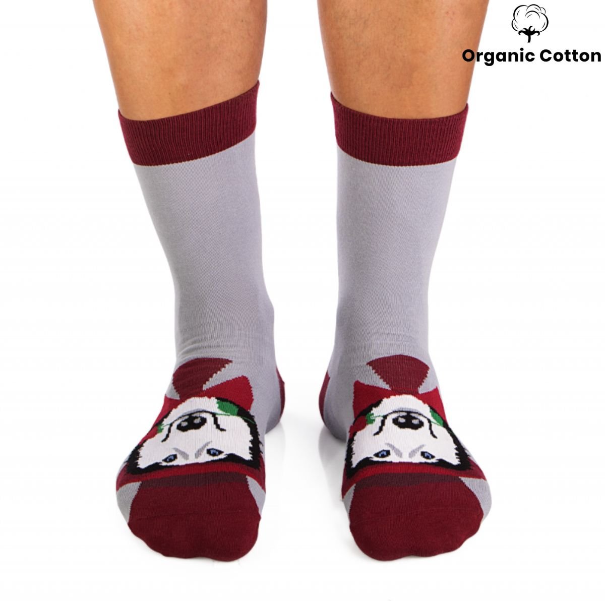 Husky Dog Novelty Socks Organic Cotton - SocksFusion