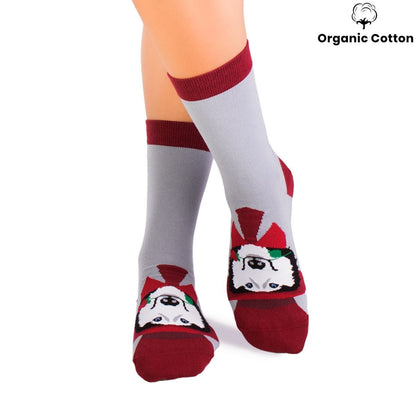 Husky Dog Novelty Socks Organic Cotton - SocksFusion