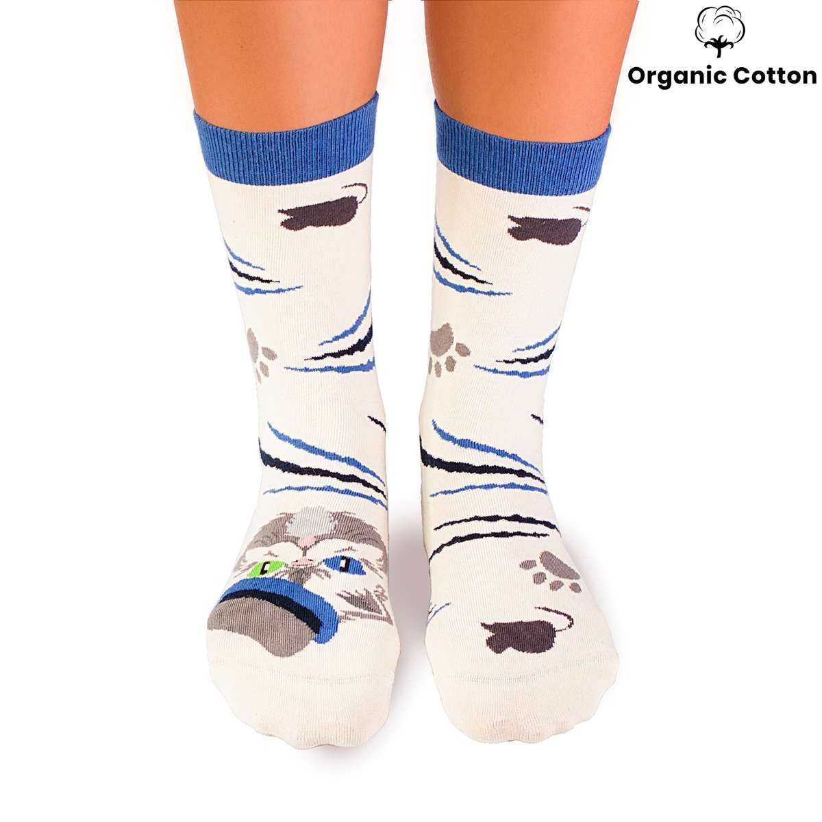 Persian Cat Novelty Socks Organic Cotton - SocksFusion
