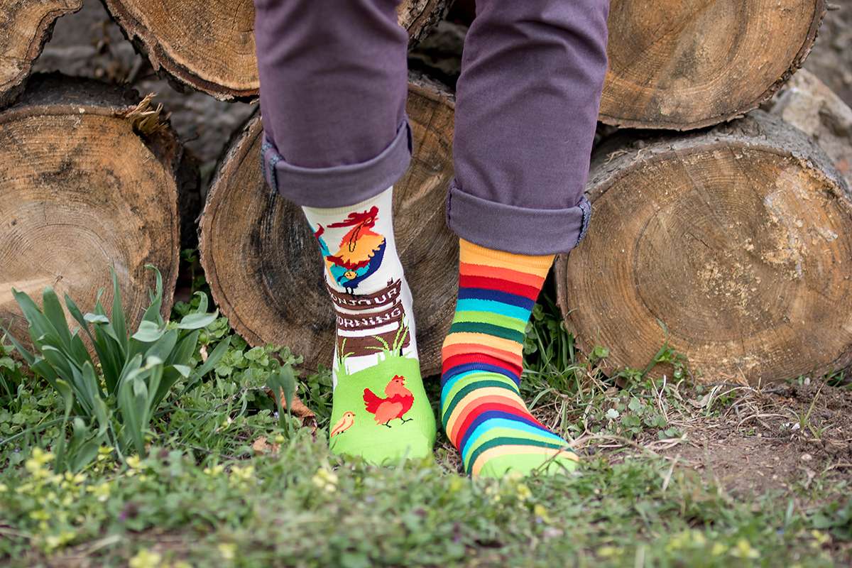 Rooster Green Novelty Socks Organic Cotton - SocksFusion