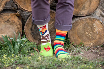 Rooster Green Novelty Socks Organic Cotton - SocksFusion