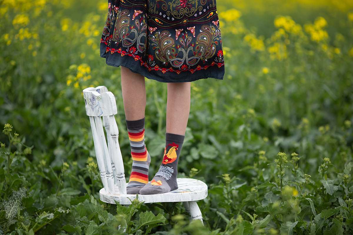 Rooster Grey Novelty Socks Organic Cotton - SocksFusion