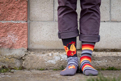 Rooster Grey Novelty Socks Organic Cotton - SocksFusion