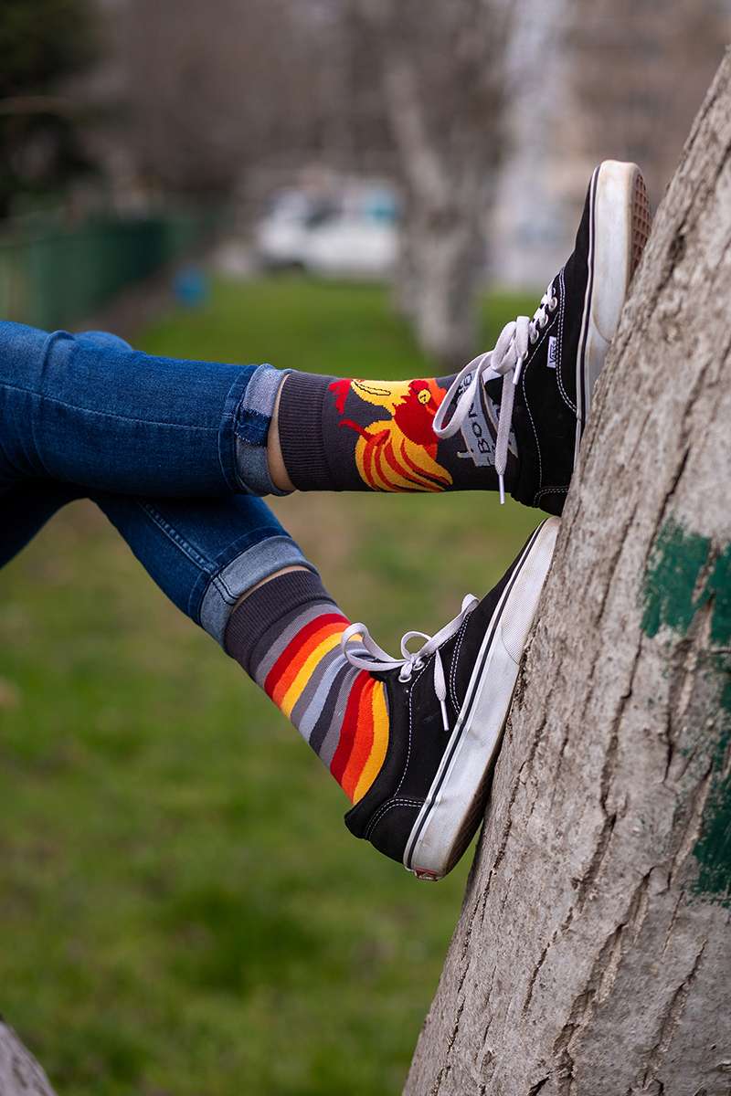Rooster Grey Novelty Socks Organic Cotton - SocksFusion