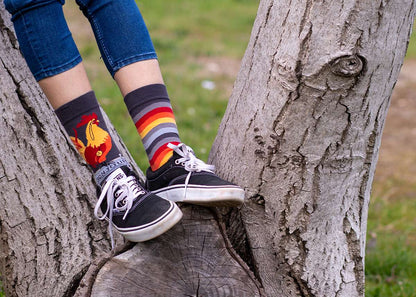Rooster Grey Novelty Socks Organic Cotton - SocksFusion