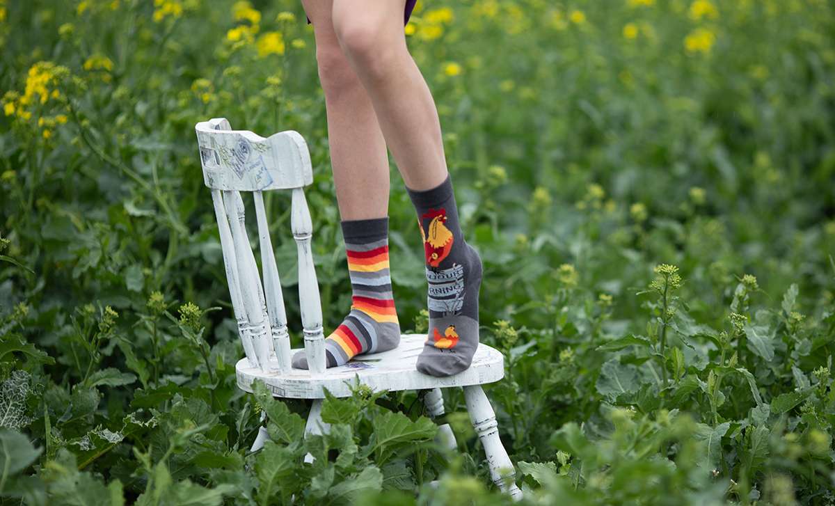 Rooster Grey Novelty Socks Organic Cotton - SocksFusion