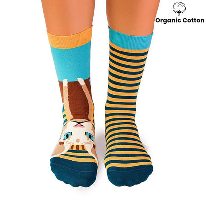 Sphynx Cat Novelty Socks Organic Cotton - SocksFusion