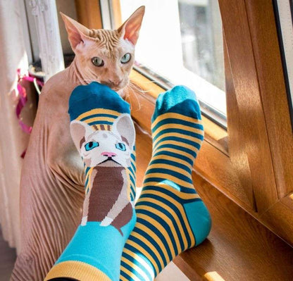 Sphynx Cat Novelty Socks Organic Cotton - SocksFusion