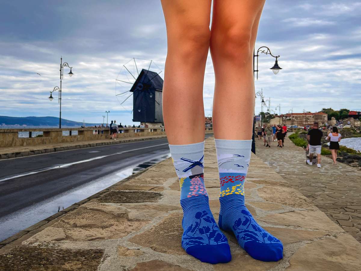 Tulips Windmill Blue Novelty Socks Organic Cotton - SocksFusion