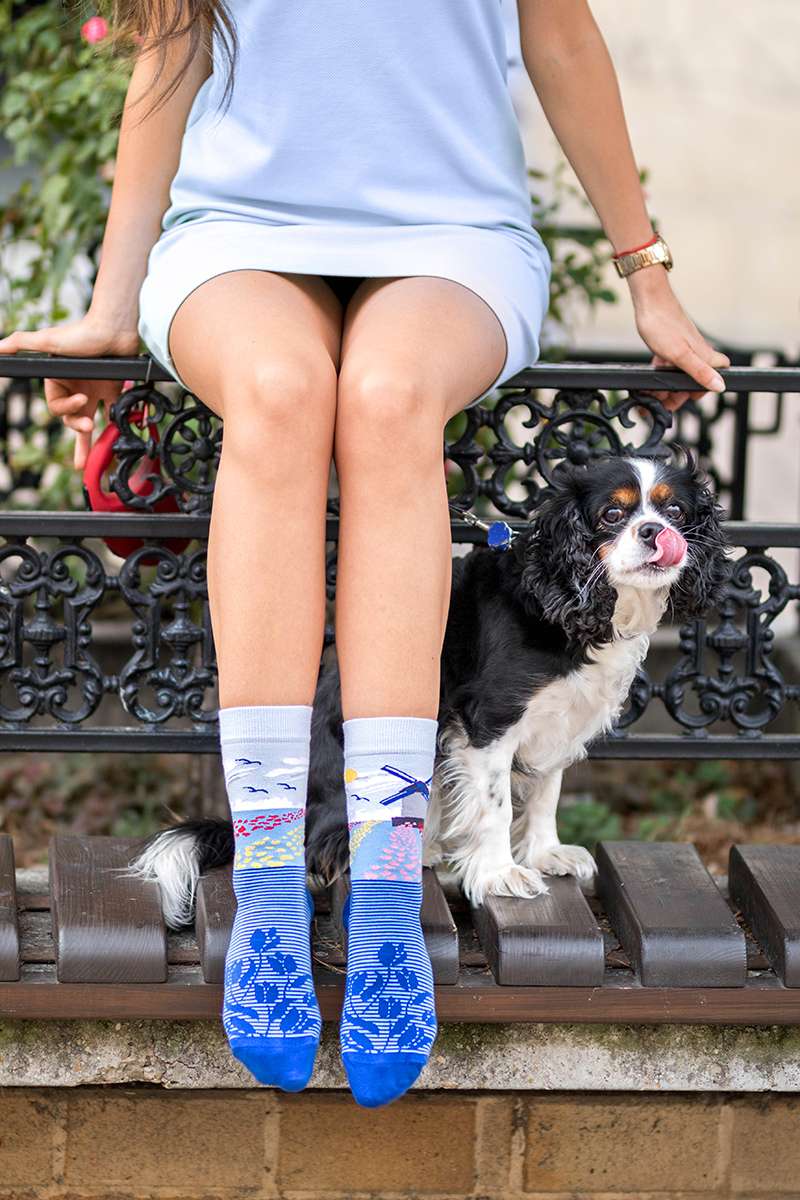 Tulips Windmill Blue Novelty Socks Organic Cotton - SocksFusion