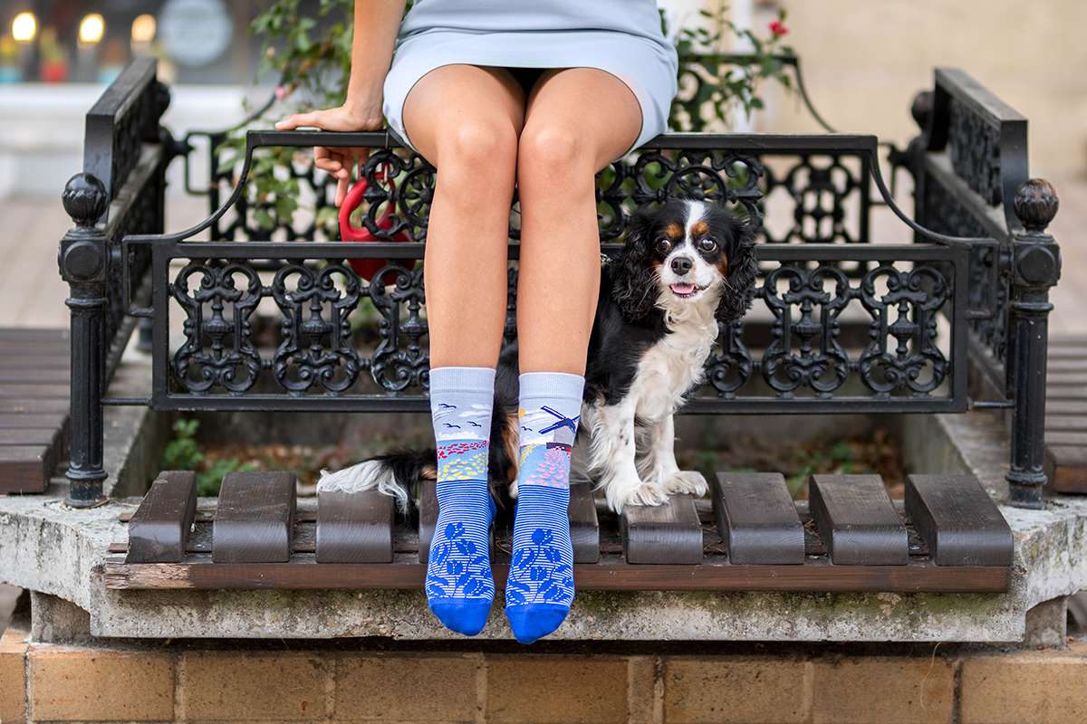 Tulips Windmill Blue Novelty Socks Organic Cotton - SocksFusion